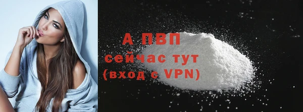 СК Белокуриха