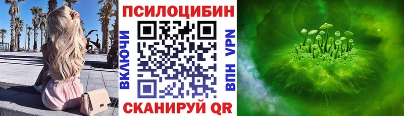 Галлюциногенные грибы GOLDEN TEACHER  Купить  Нововоронеж 